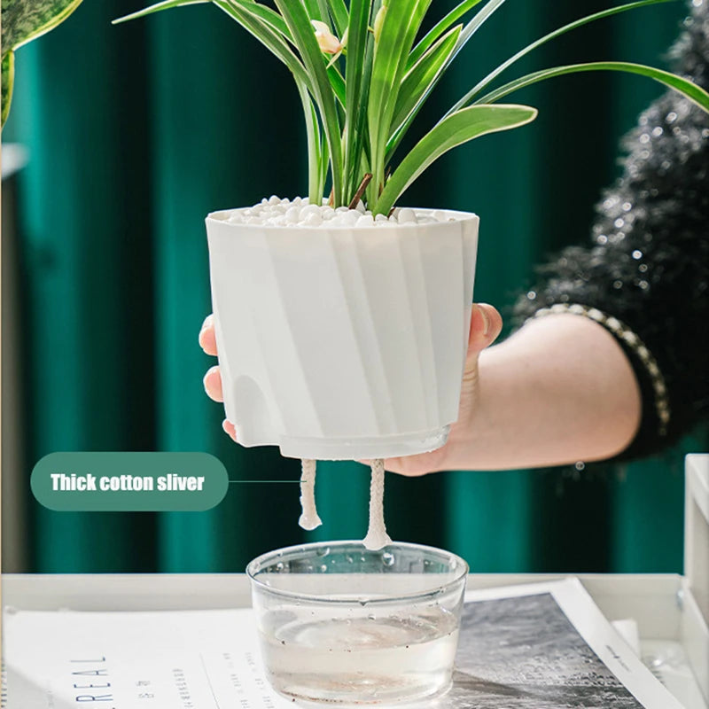 Hydroponic Flower Pot Automatic Water-Absorbing