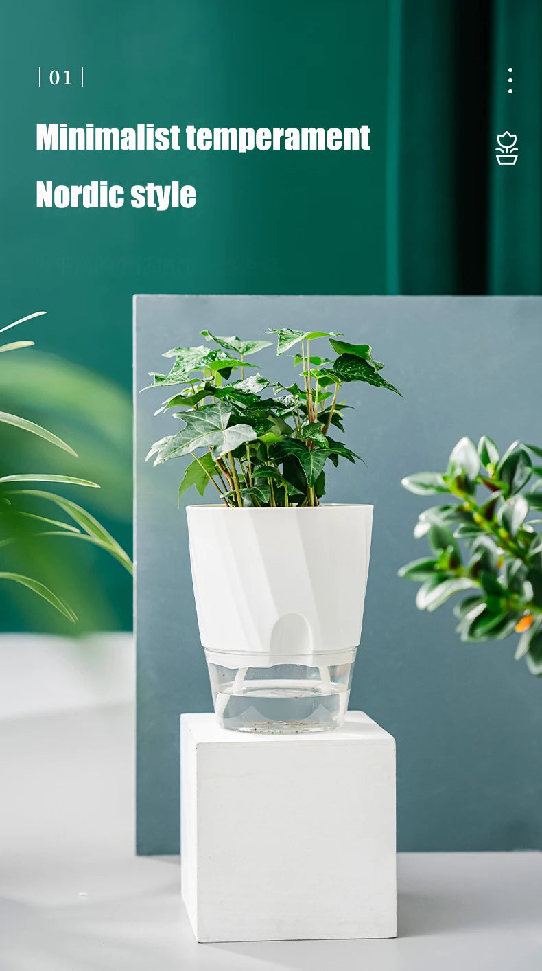 Hydroponic Flower Pot Automatic Water-Absorbing