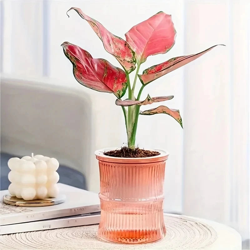 Hydroponic Flower Pot Automatic Plastic Self Watering Planter