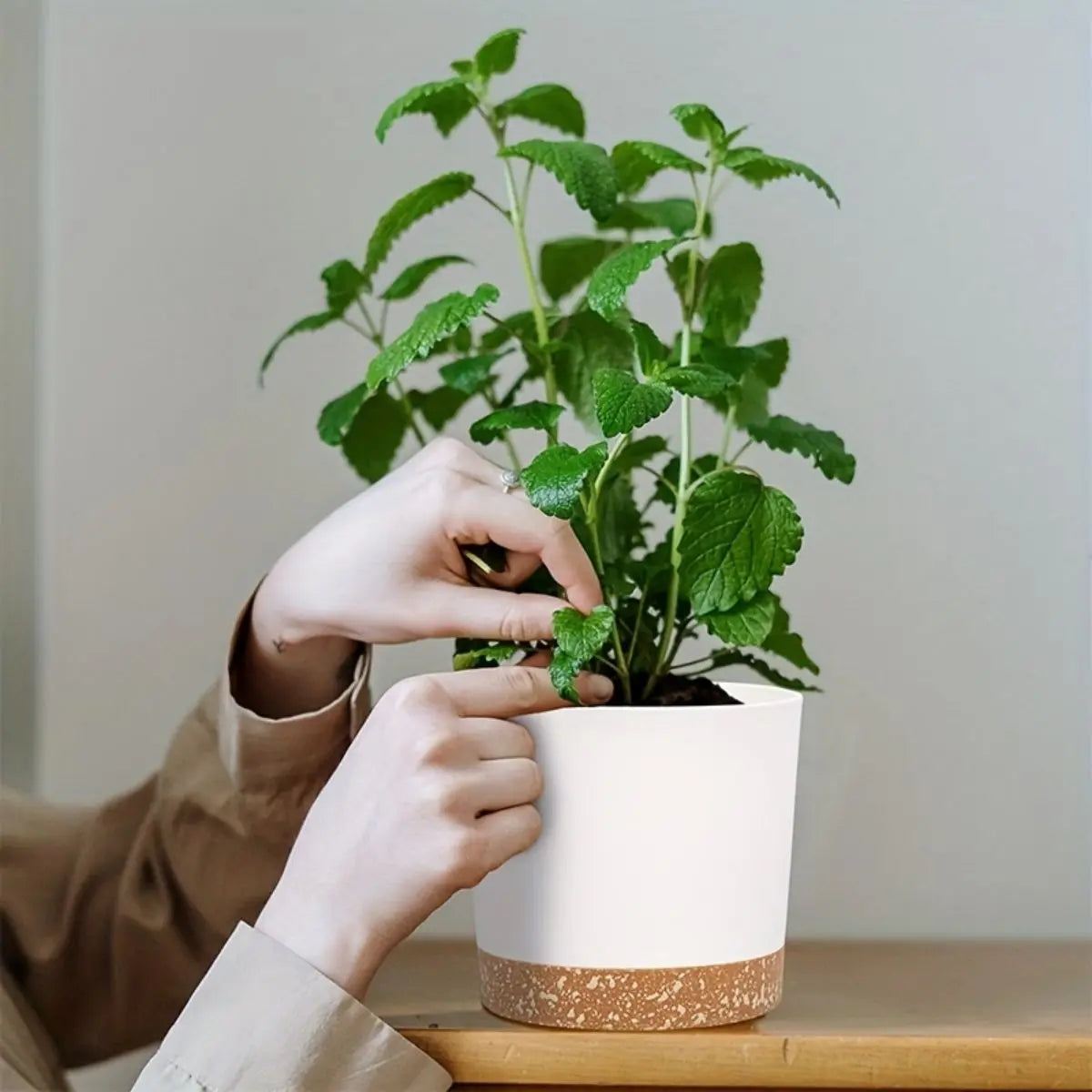 4pcs Flowerpot Removable Bottom Round Flower Pot Detachable Bottom