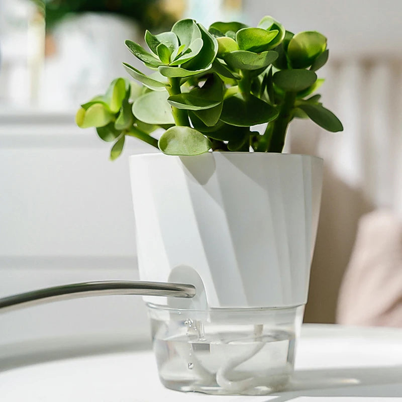 Hydroponic Flower Pot Automatic Water-Absorbing