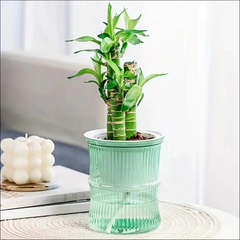 Hydroponic Flower Pot Automatic Plastic Self Watering Planter