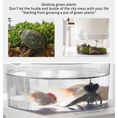 Innovative Lazy Flower Pot Automatic Water-Absorbing Flowerpot