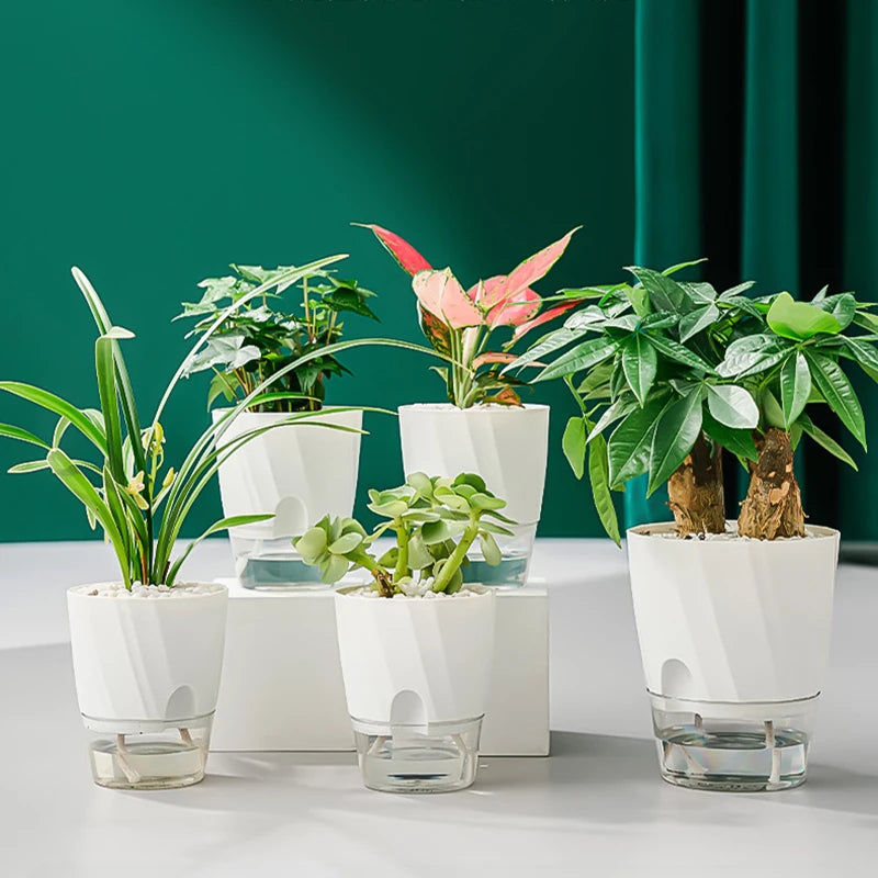Hydroponic Flower Pot Automatic Water-Absorbing