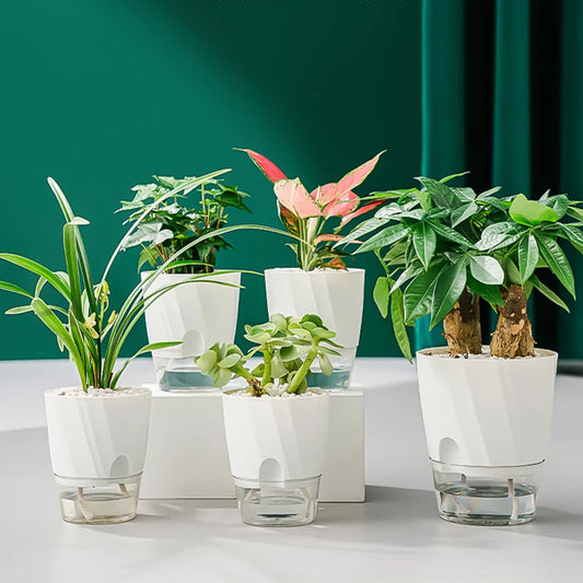 Hydroponic Flower Pot Automatic Water-Absorbing