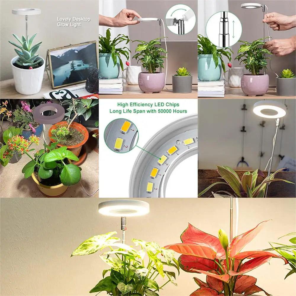 Grow Light, Full Spectrum LED Plant Light for Indoor Plants