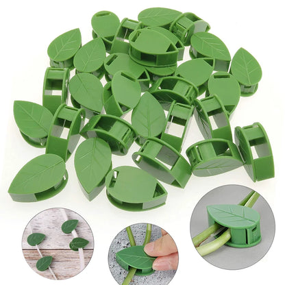 Plant Climbing Wall Vine Bracket Fixed Buckle Leaf Clip