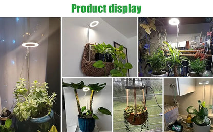 Grow Light, Full Spectrum LED Plant Light for Indoor Plants