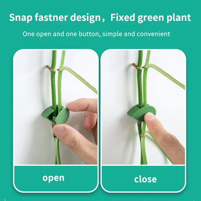 Plant Climbing Wall Vine Bracket Fixed Buckle Leaf Clip