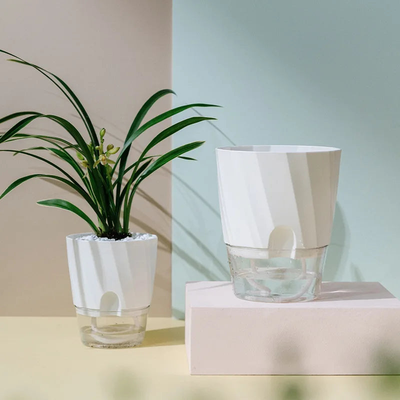 Hydroponic Flower Pot Automatic Water-Absorbing