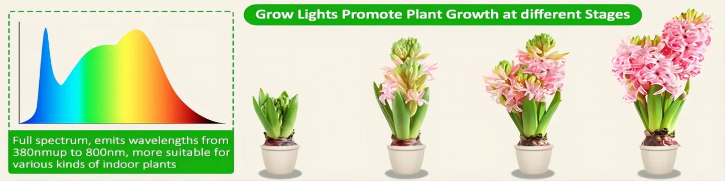 Grow Light, Full Spectrum LED Plant Light for Indoor Plants