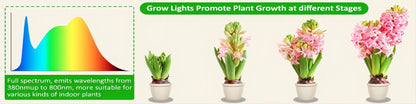 Grow Light, Full Spectrum LED Plant Light for Indoor Plants